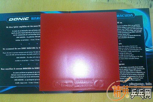 �׽�+Money������