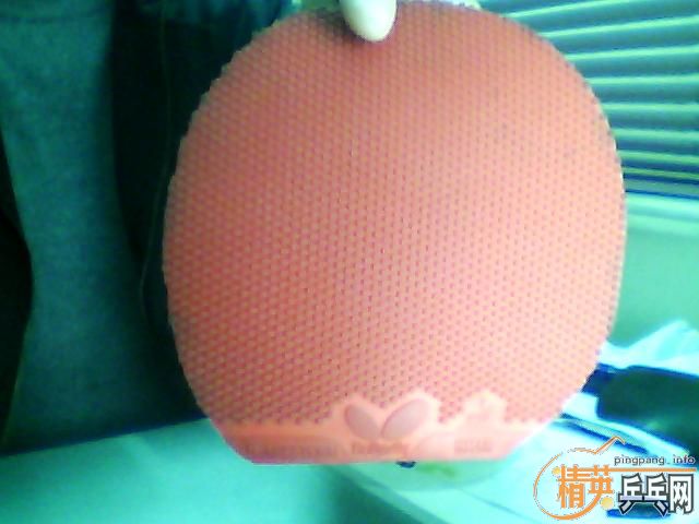 ������FLȫ�״�����