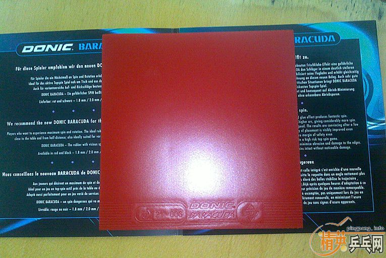 �׽�+Money������