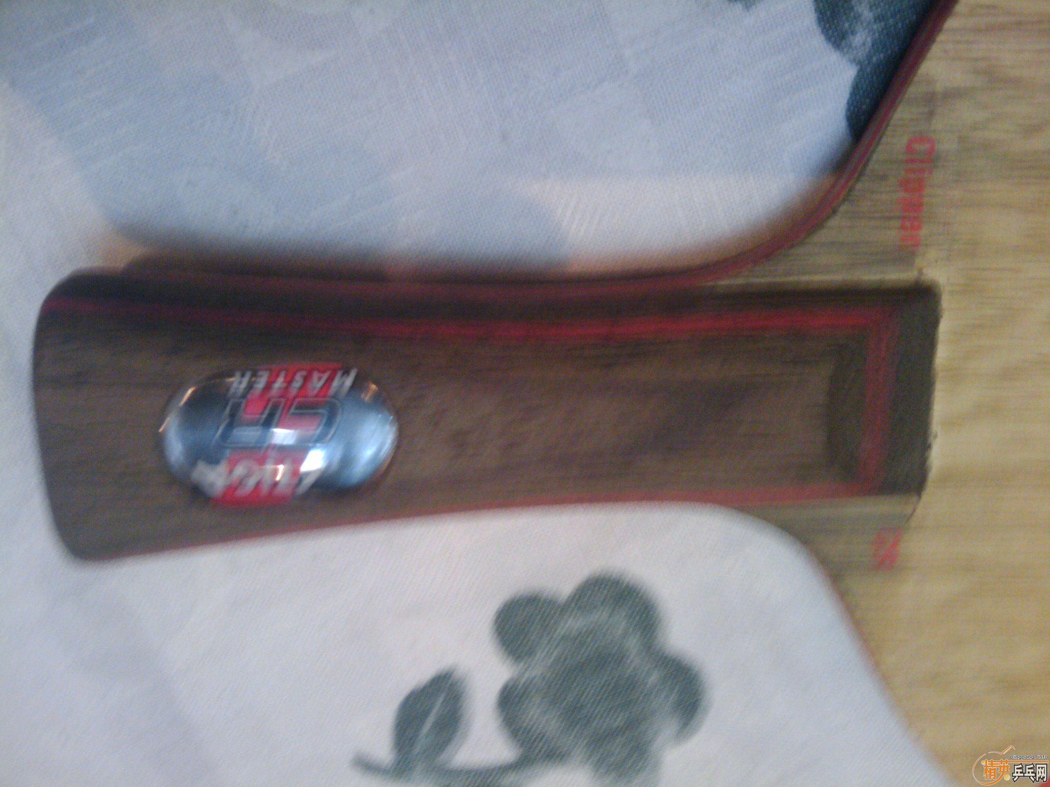 cl--cr ֻ������