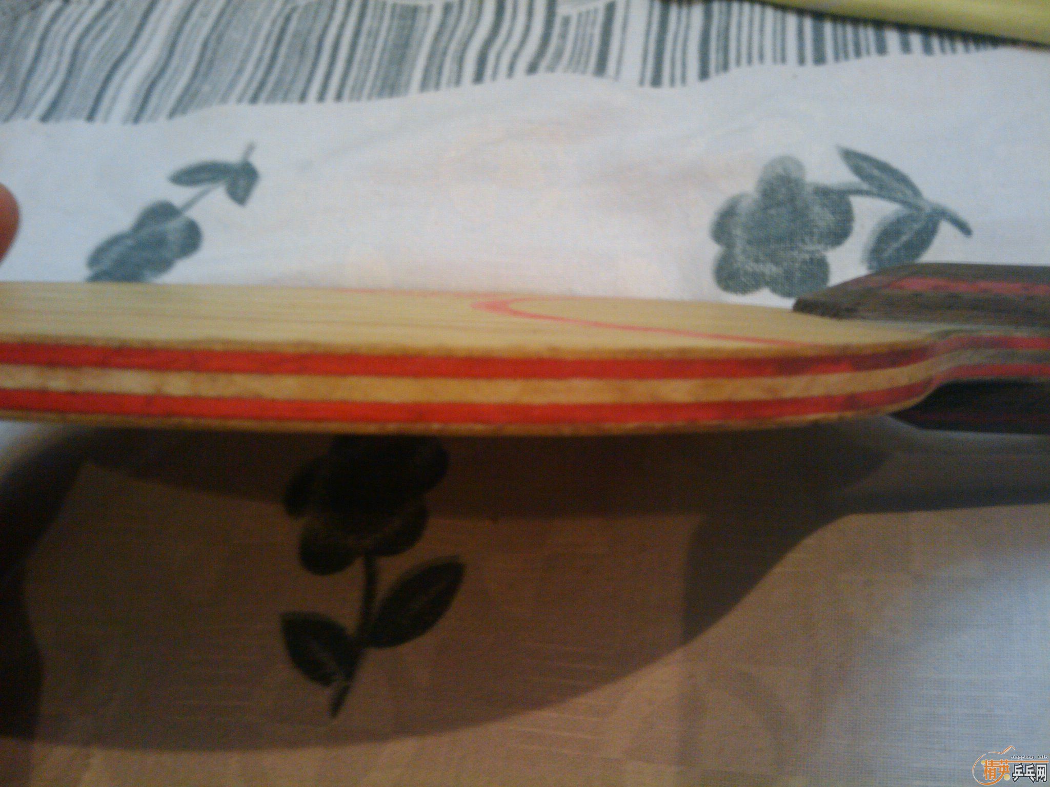 cl--cr ֻ������