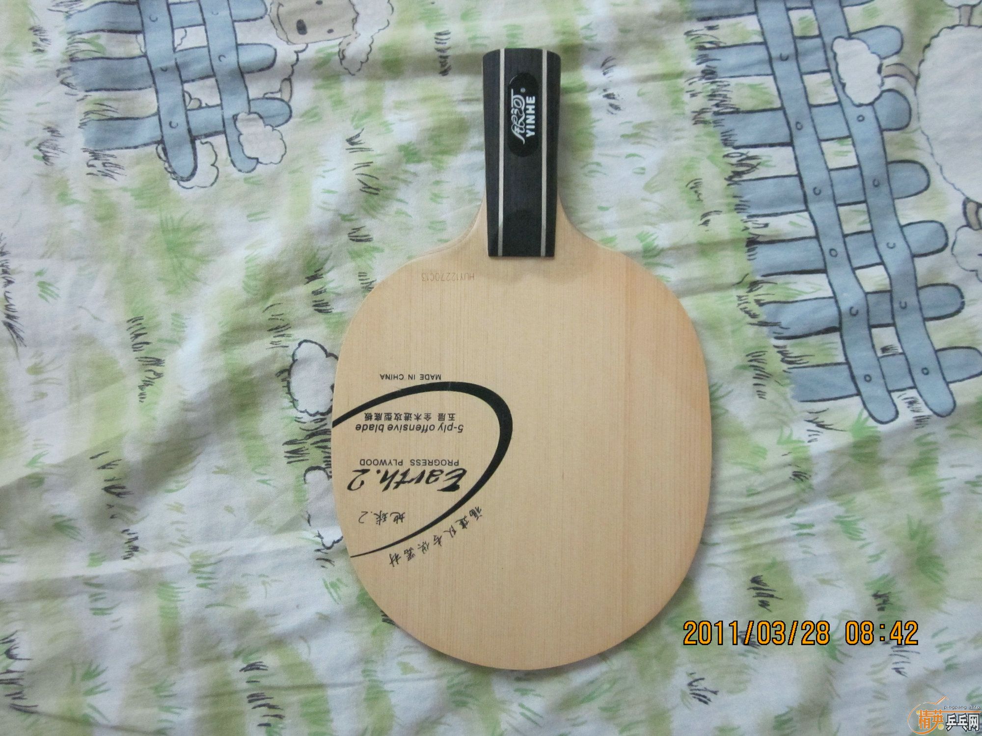 ���հ�YE������E2