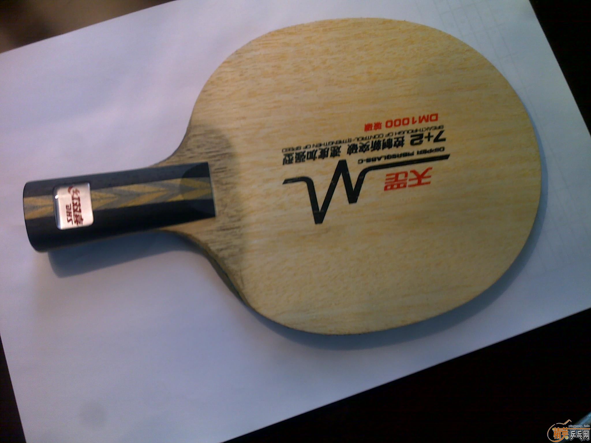 [ԭ��]��˫ϲDM1000����