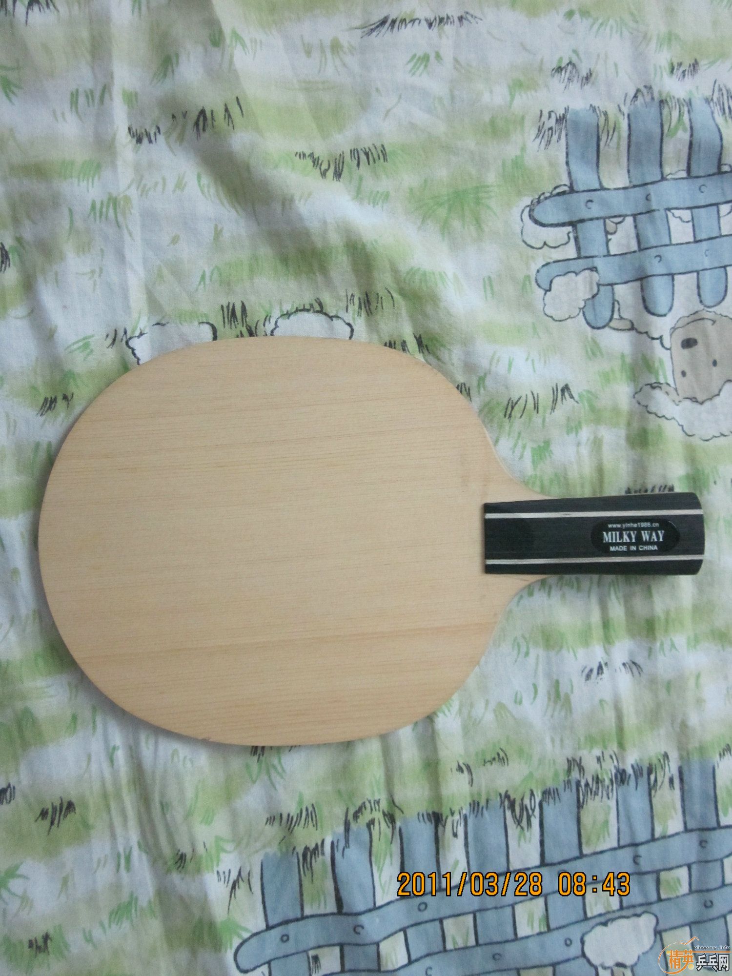 ���հ�YE������E2