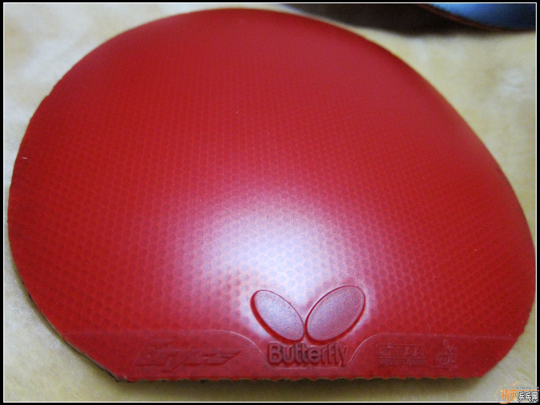 ���� ��ͷ��� ROUNDELL  С����EL  JO ROUNDELL-HARD