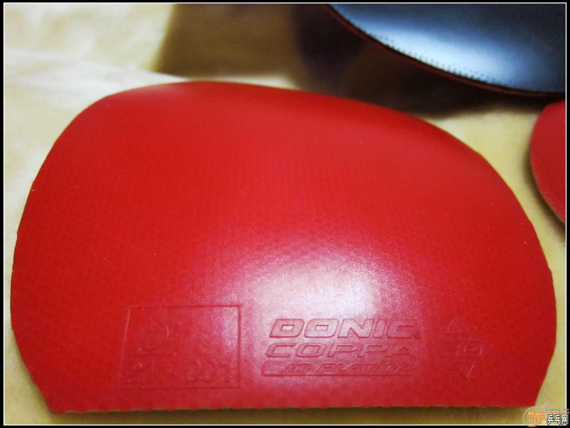 ���� ��ͷ��� ROUNDELL  С����EL  JO ROUNDELL-HARD