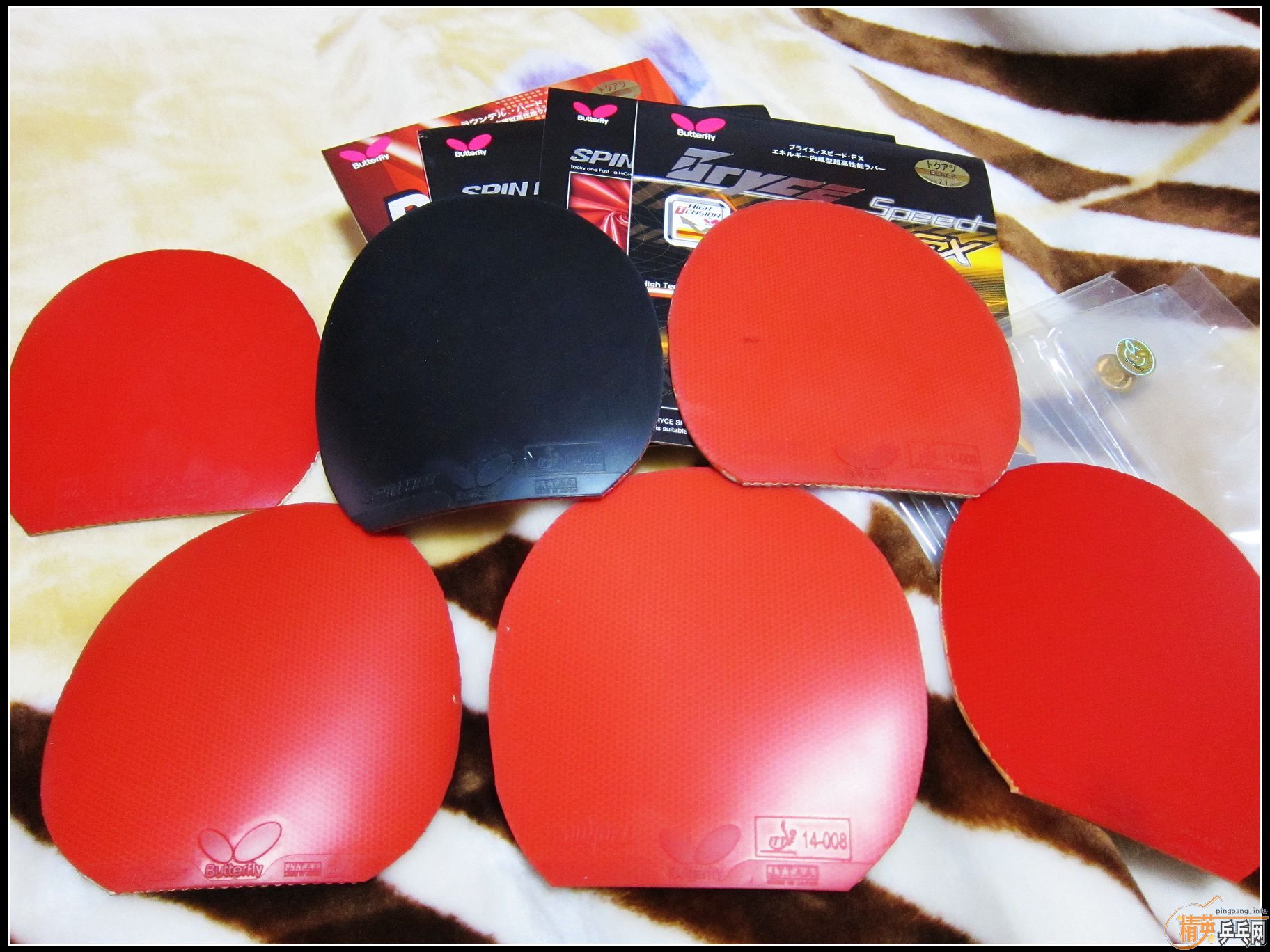 ���� ��ͷ��� ROUNDELL  С����EL  JO ROUNDELL-HARD