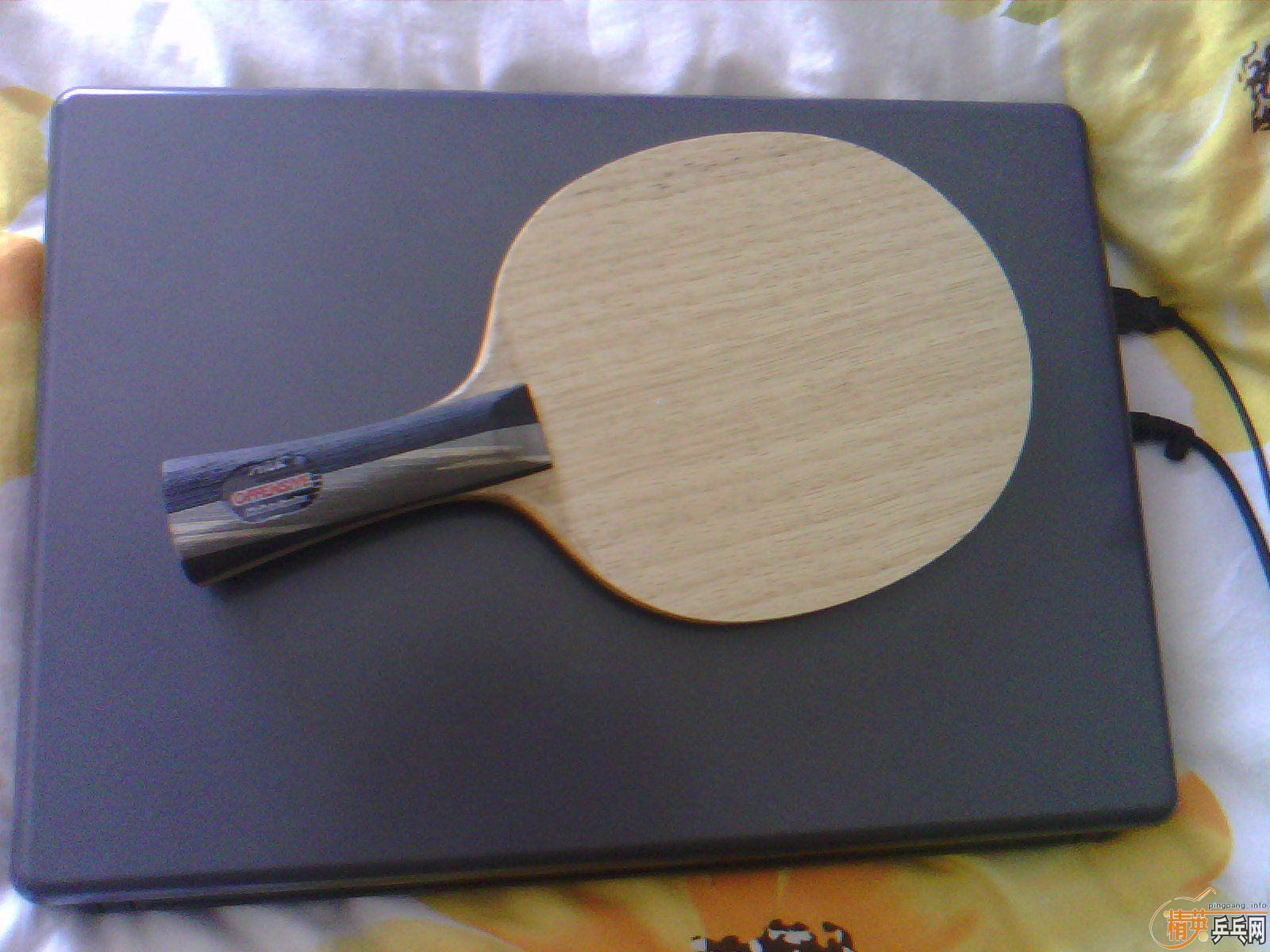 ������ С���� st      ���µ�  ����c   ˮ��to  �ͼۿ��