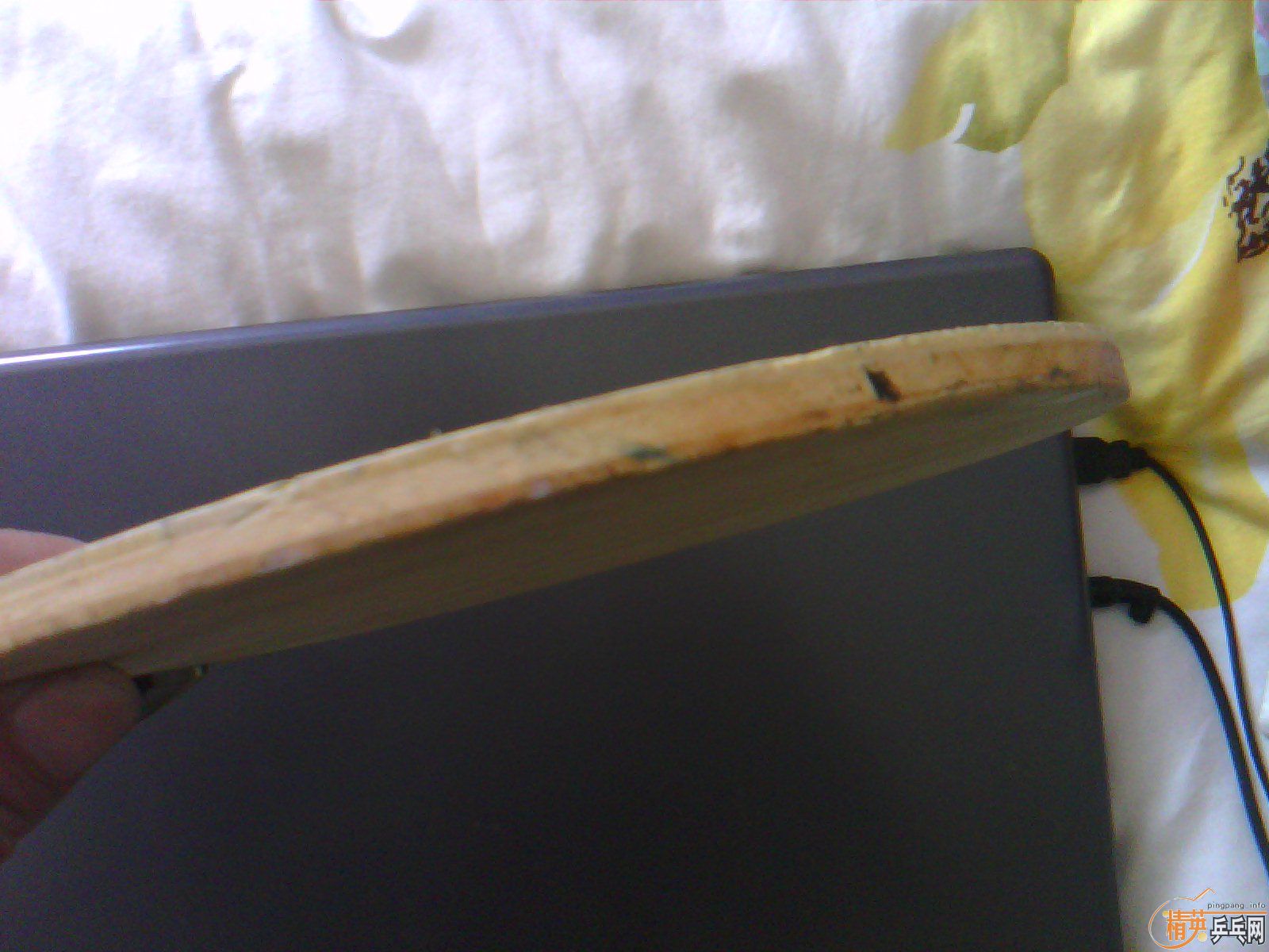 ������ С���� st      ���µ�  ����c   ˮ��to  �ͼۿ��