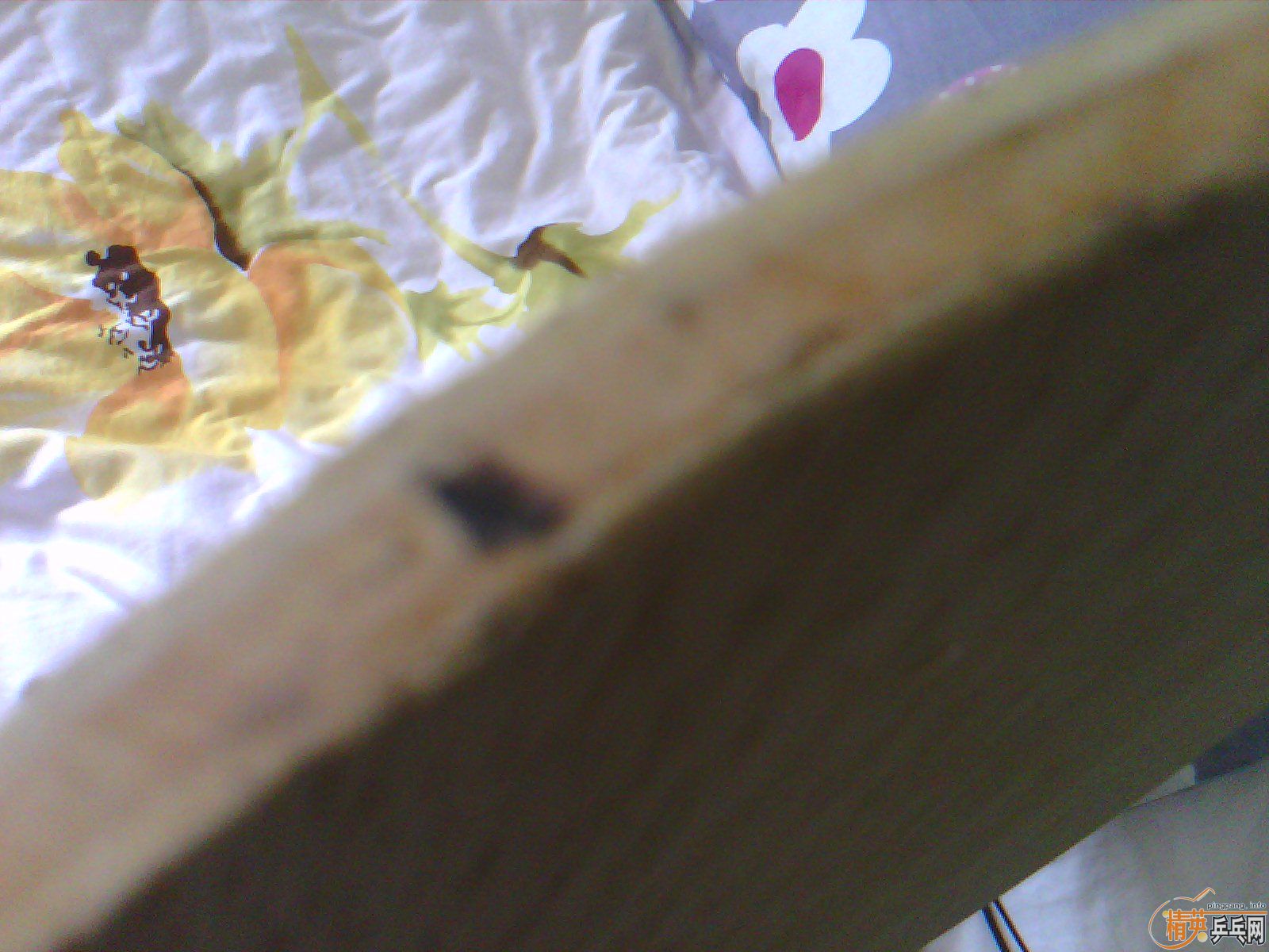 ������ С���� st      ���µ�  ����c   ˮ��to  �ͼۿ��