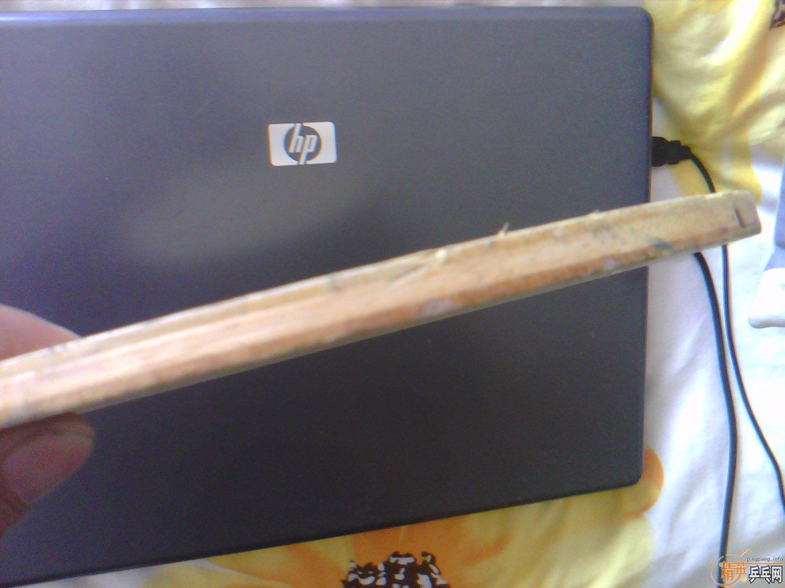 ������ С���� st      ���µ�  ����c   ˮ��to  �ͼۿ��