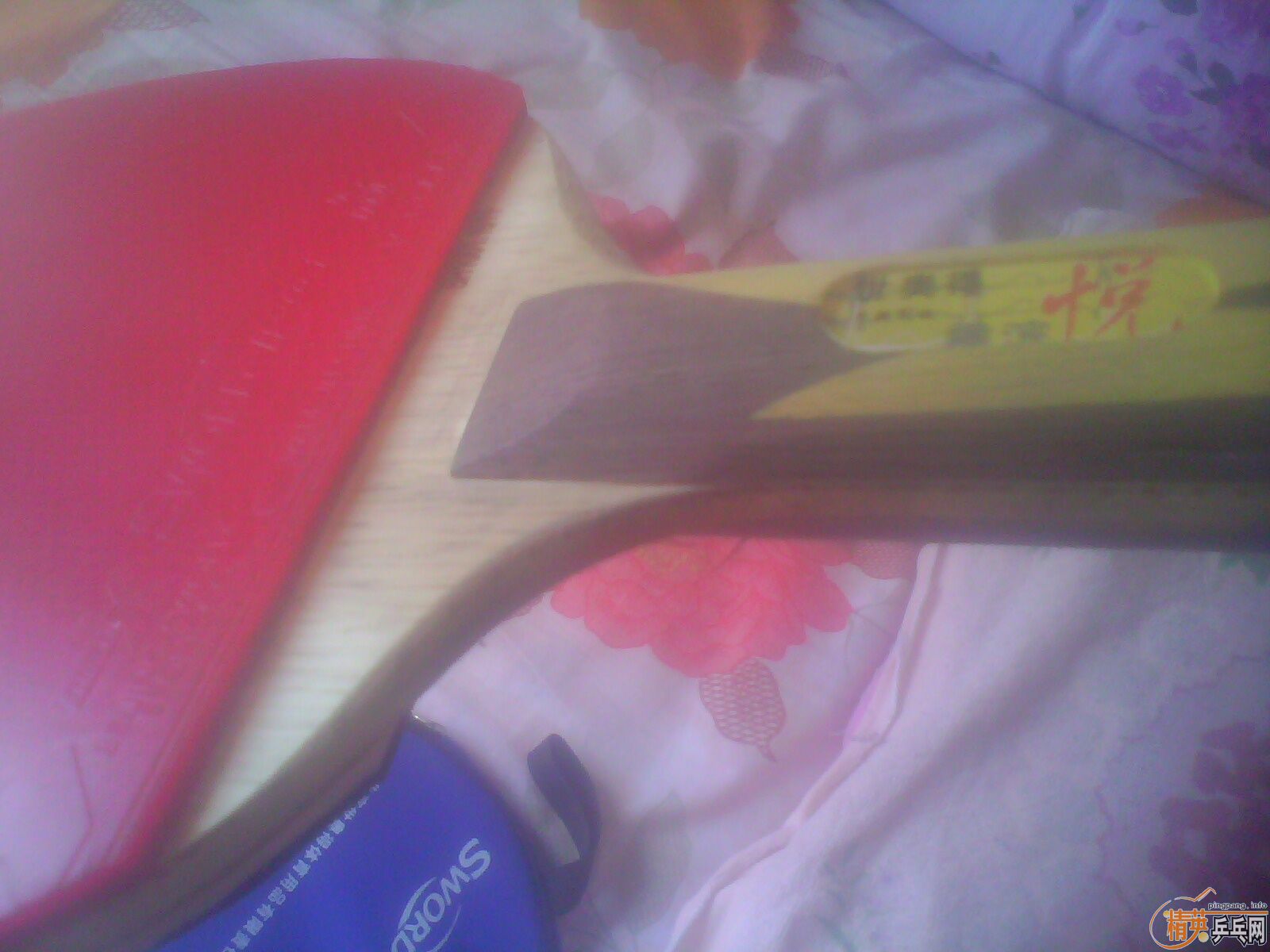 ������ô�ͳ�棬���־���rg�׽��������޻�rg�׽���180Ԫ����ɫ������Ƶϸ����