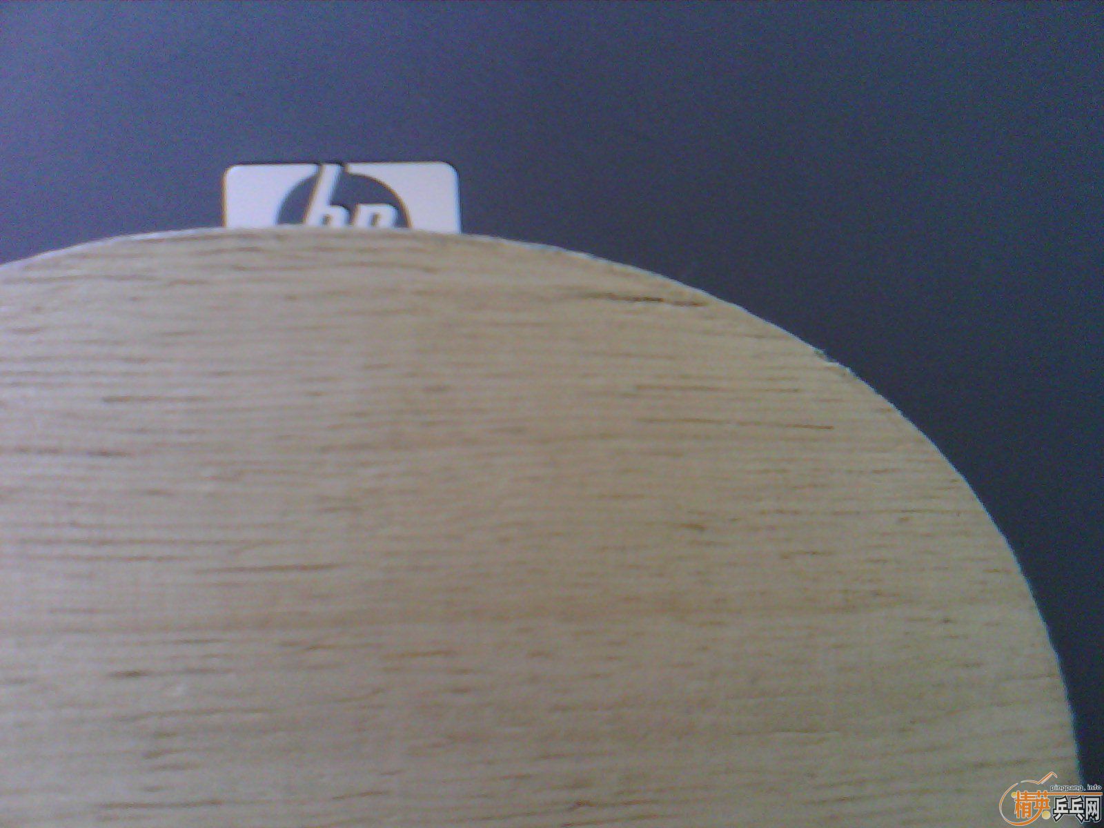 ������ С���� st      ���µ�  ����c   ˮ��to  �ͼۿ��