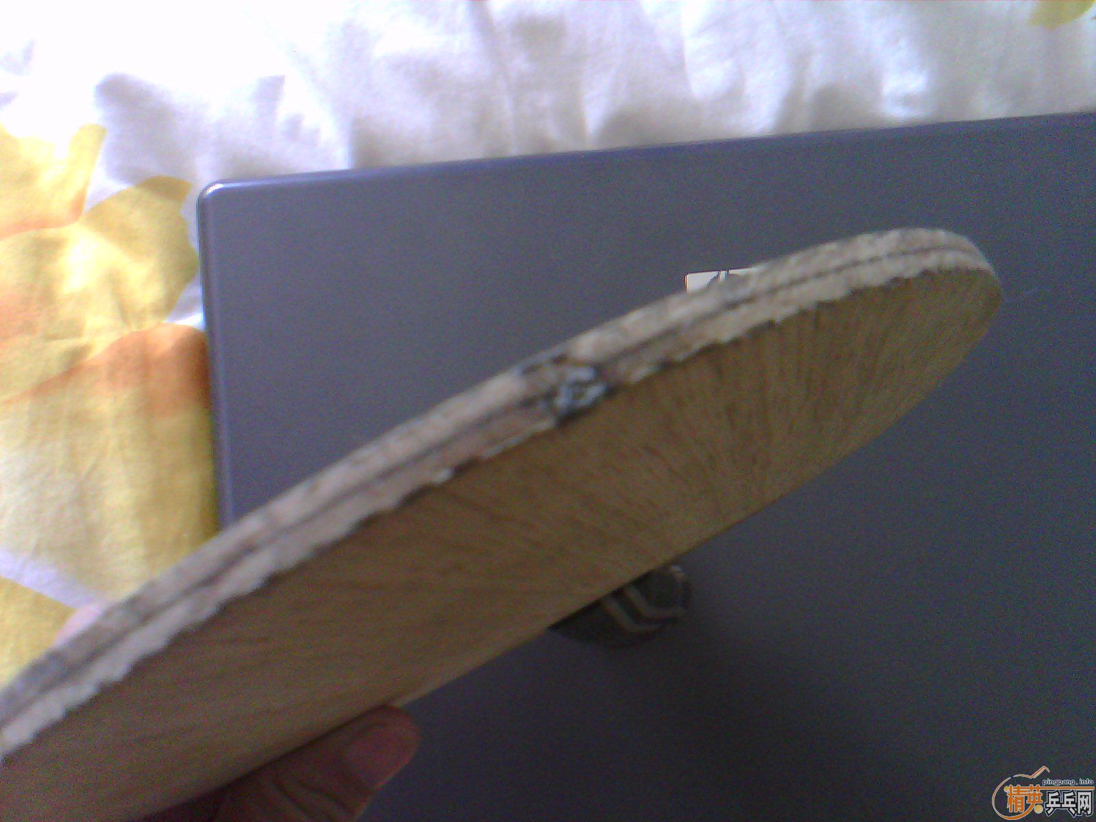 ������ С���� st      ���µ�  ����c   ˮ��to  �ͼۿ��