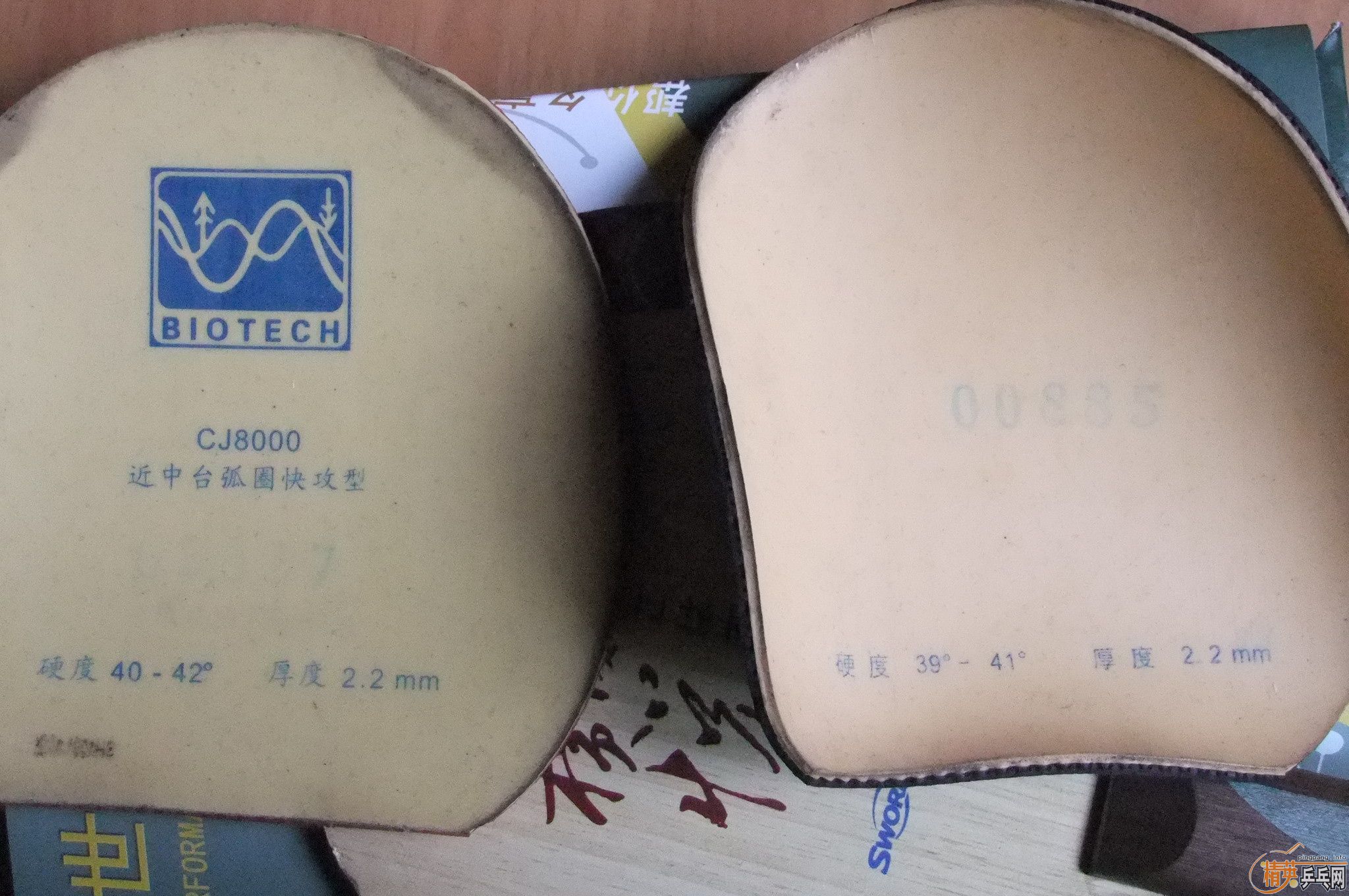 �ٳ�ST����Ӣ������