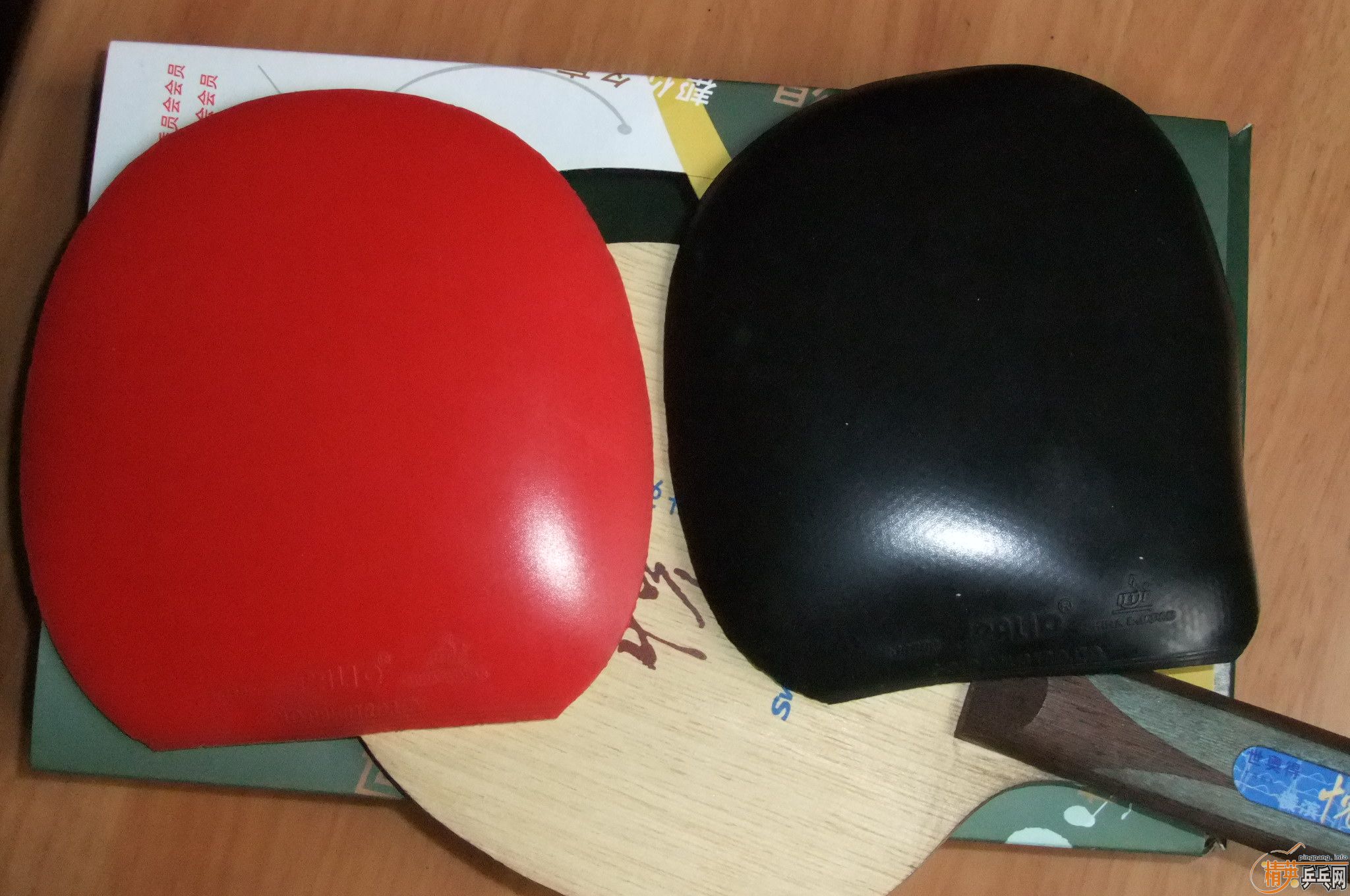 �ٳ�ST����Ӣ������