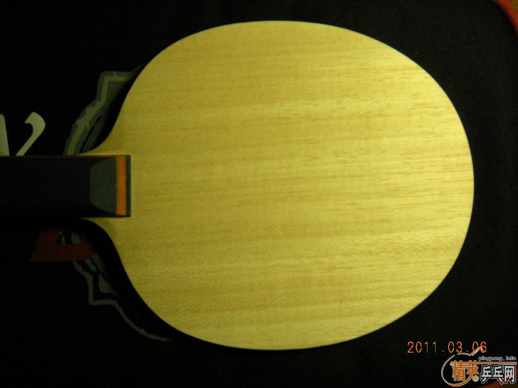 ����TBS���γ�һֻ��ֻ��һֻ