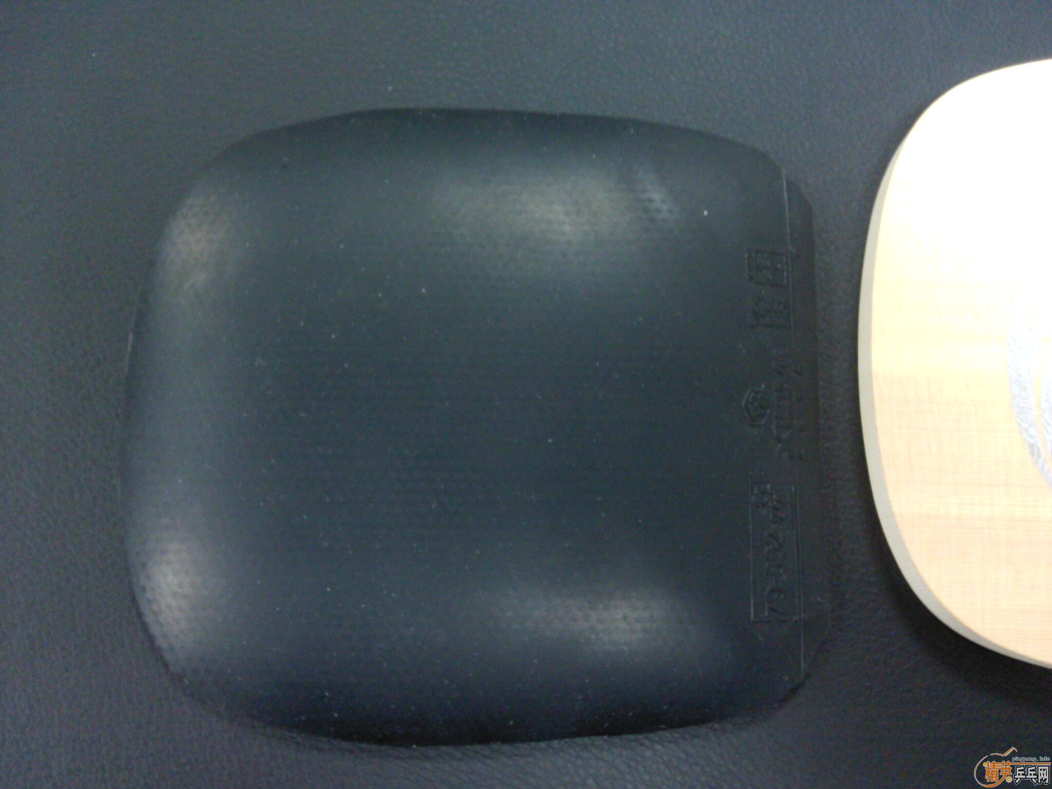 ����ZT�׽�  ����MAX������