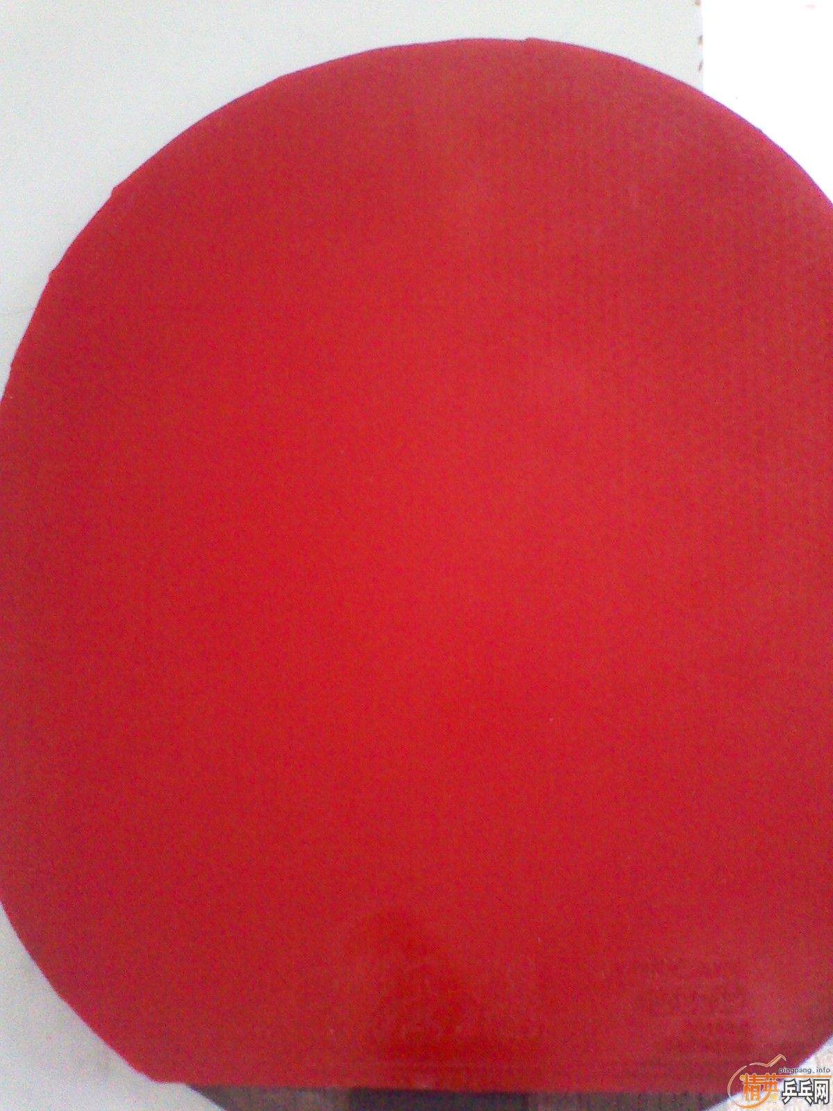 [ԭ��]��95�µ�OC-CR,FL������ʤ�л�