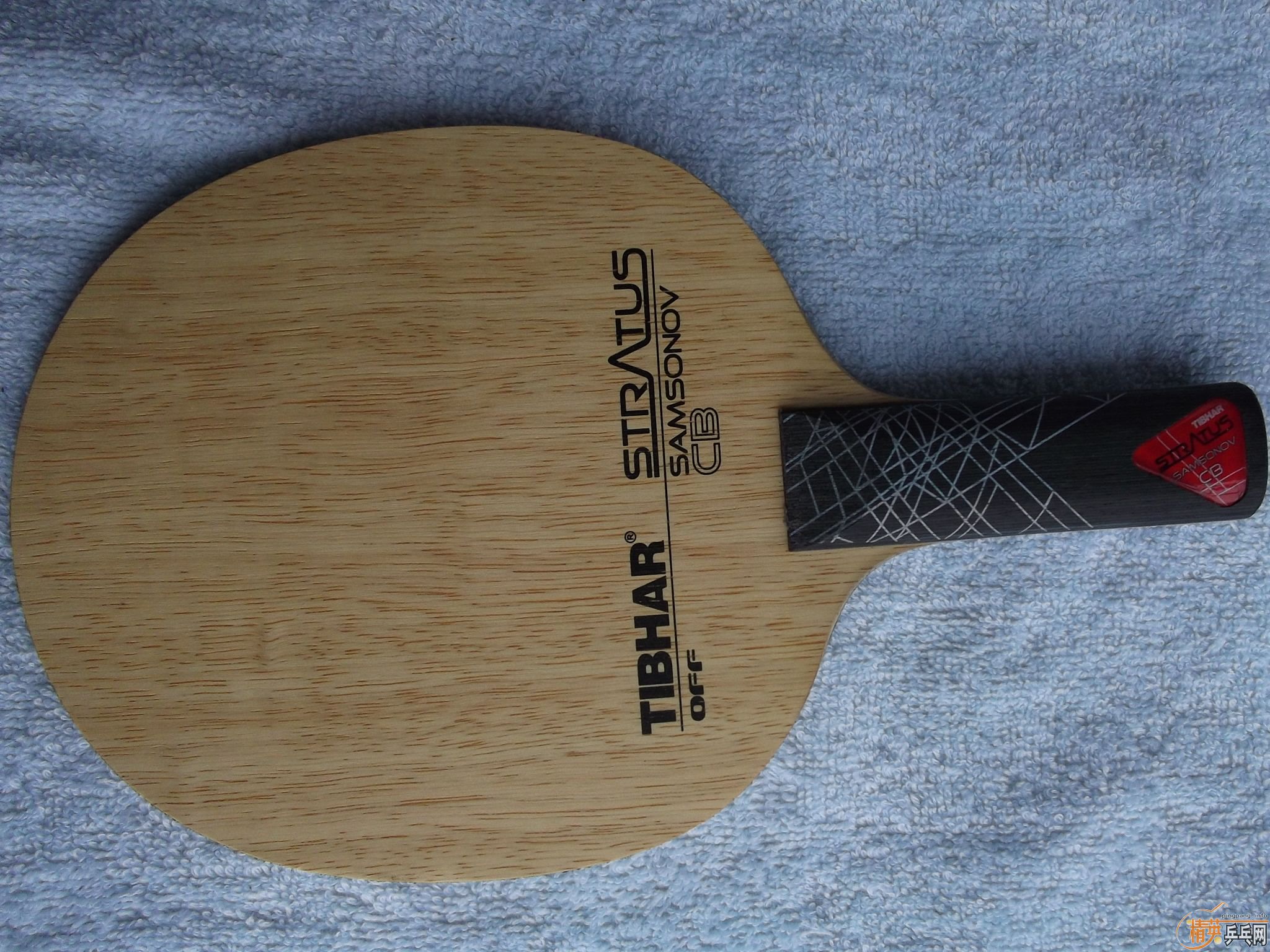 ������̼ ST  530Ԫ����  ֧��֧����