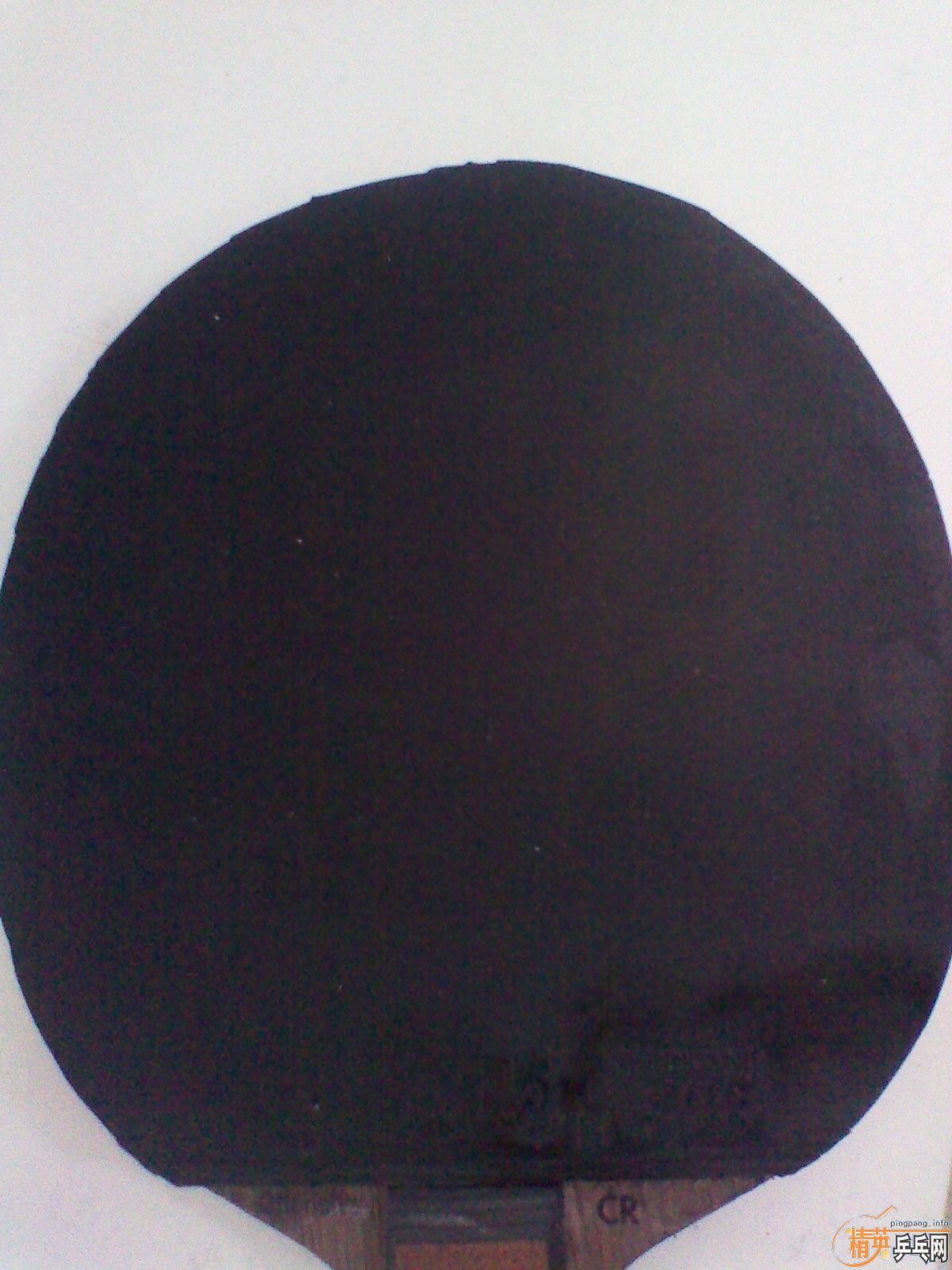 [ԭ��]��95�µ�OC-CR,FL������ʤ�л�