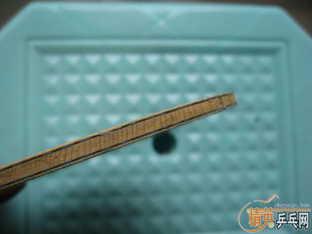 ��8���´����� 380���죬���Ŵ��һ���εĺ�������ͣ�Bryce+BryceFX)��220���� ֧��֧����