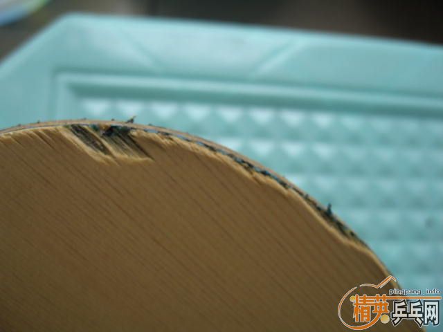 ��8���´����� 380���죬���Ŵ��һ���εĺ�������ͣ�Bryce+BryceFX)��220���� ֧��֧����