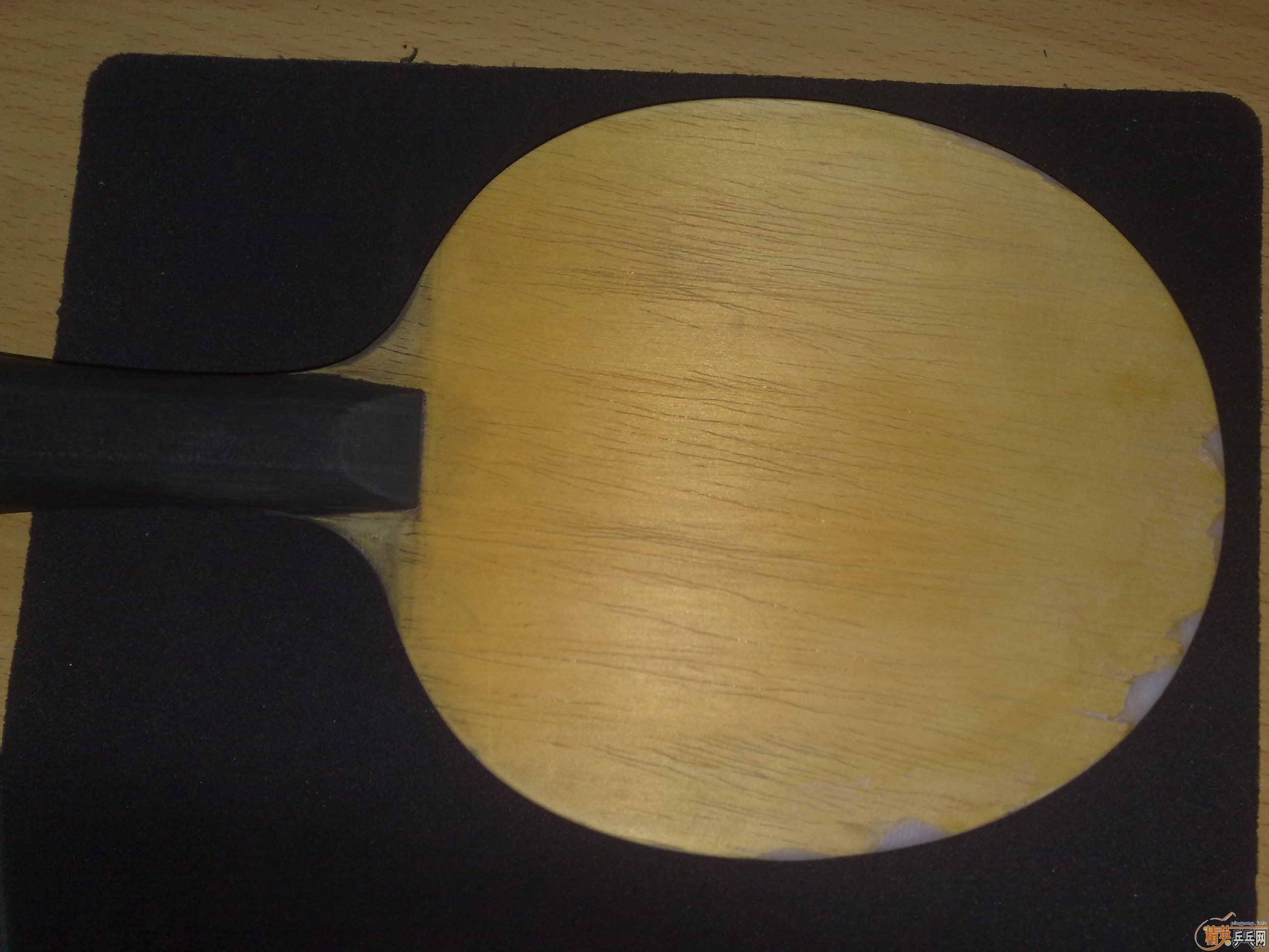 JOOLA K5 ����Ȥ�������������Գ�Ҳ���Ի�