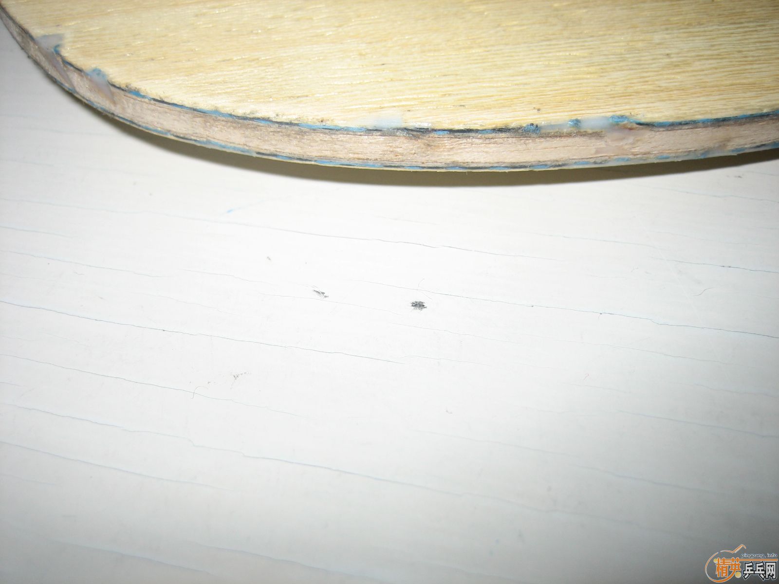 JOOLA K5 ����Ȥ�������������Գ�Ҳ���Ի�