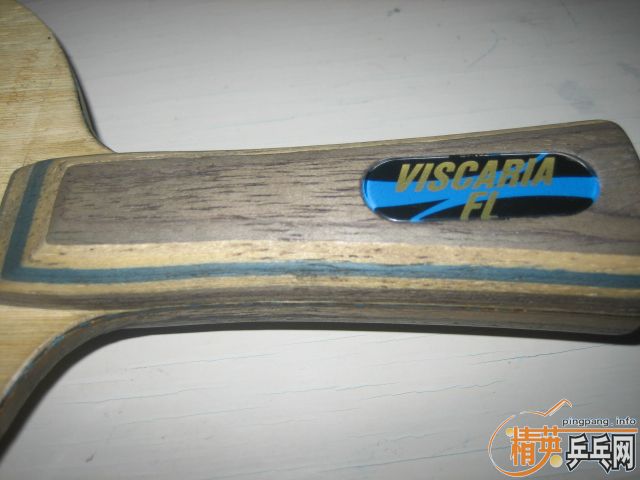 ����������,������VIS,ͼ�Ѿ�����,����Ӧ������˰�!