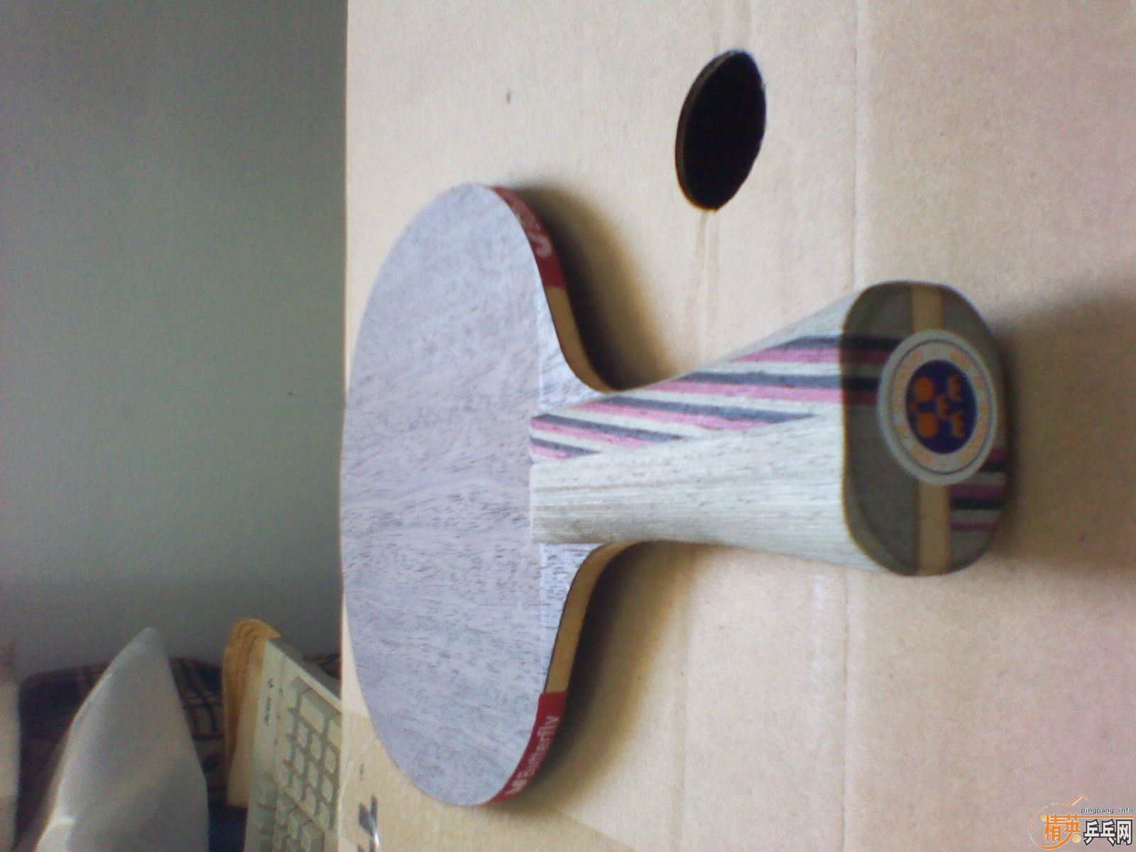 ��Ʒ��5.4��С����Ǵ���