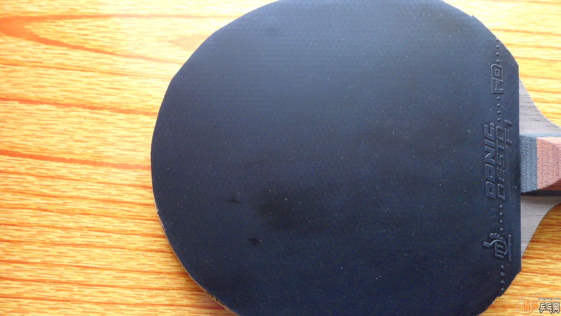 ���׺�F1����