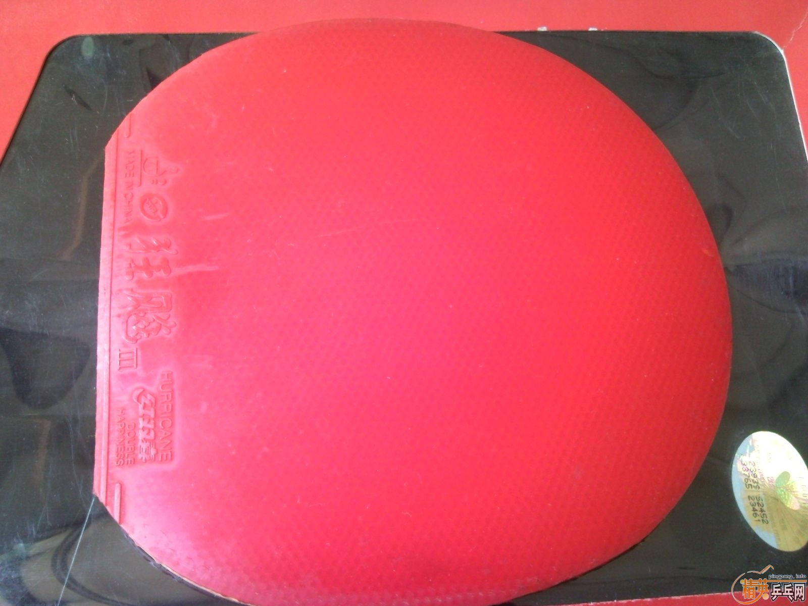 �������л��Ʊ���