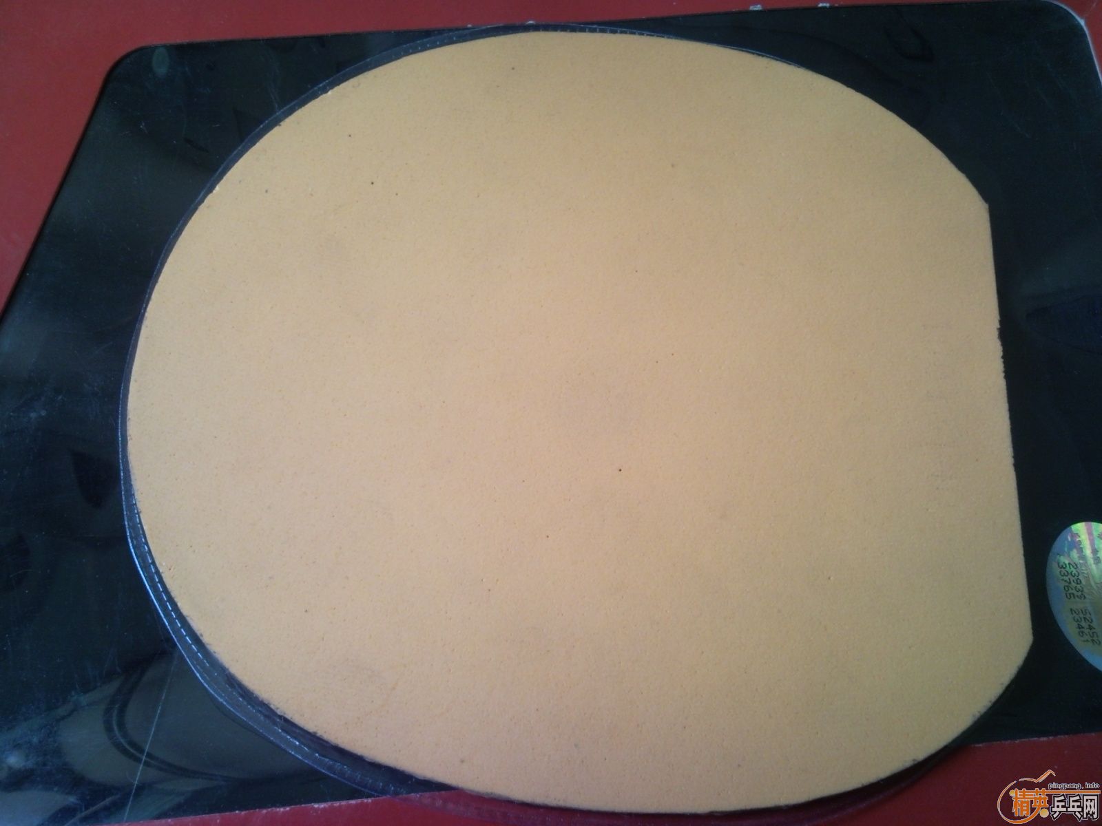 �������л��Ʊ���