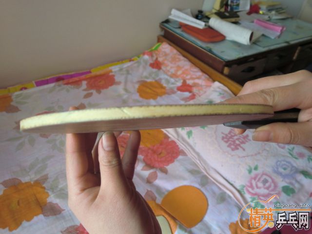 290Ԫ���ʳ�֧yeo