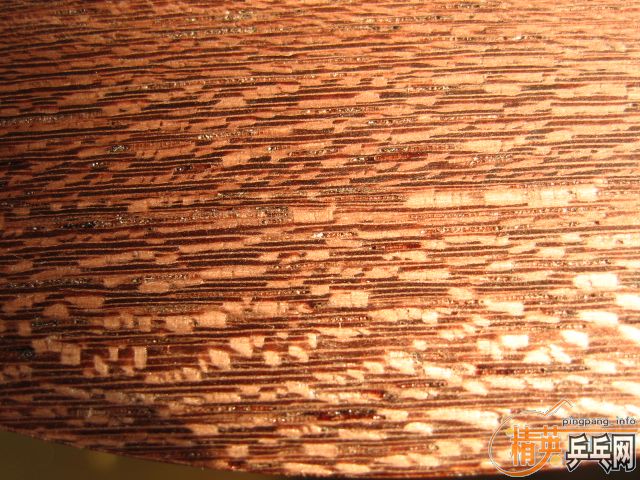 ST���Ʊ�OC ������������