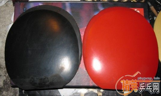 ����t6���׽������