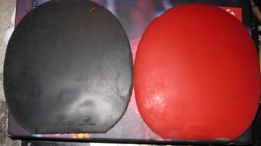 ����t6���׽������