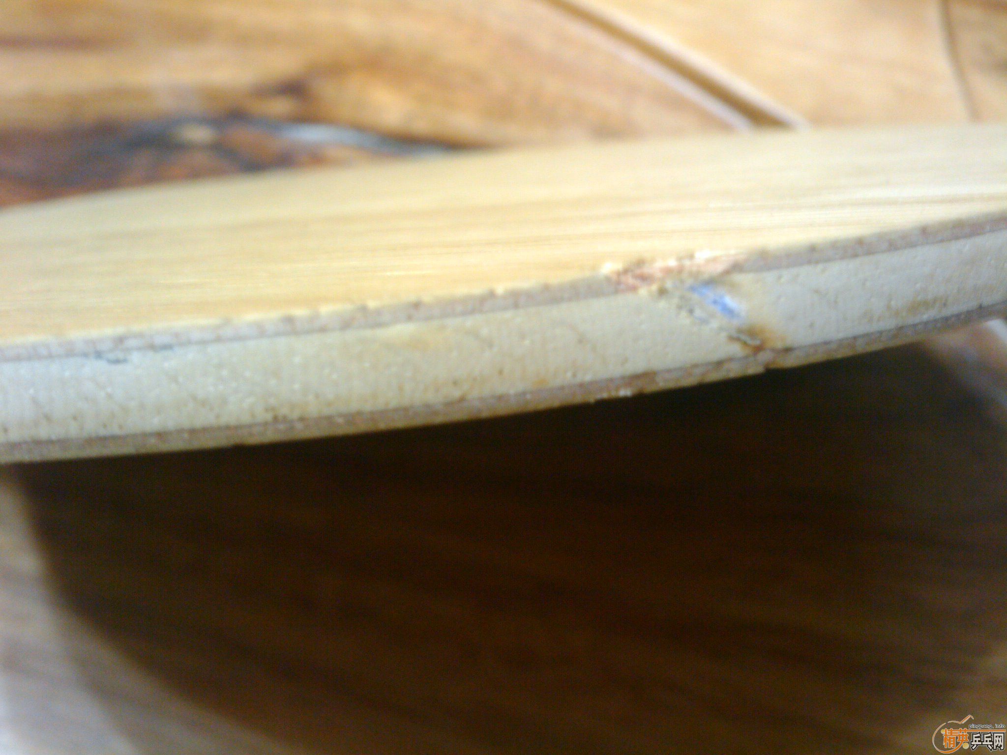 ���������׽�ȫ����ɱ��ֻʣͦ�� �������ˡ�����