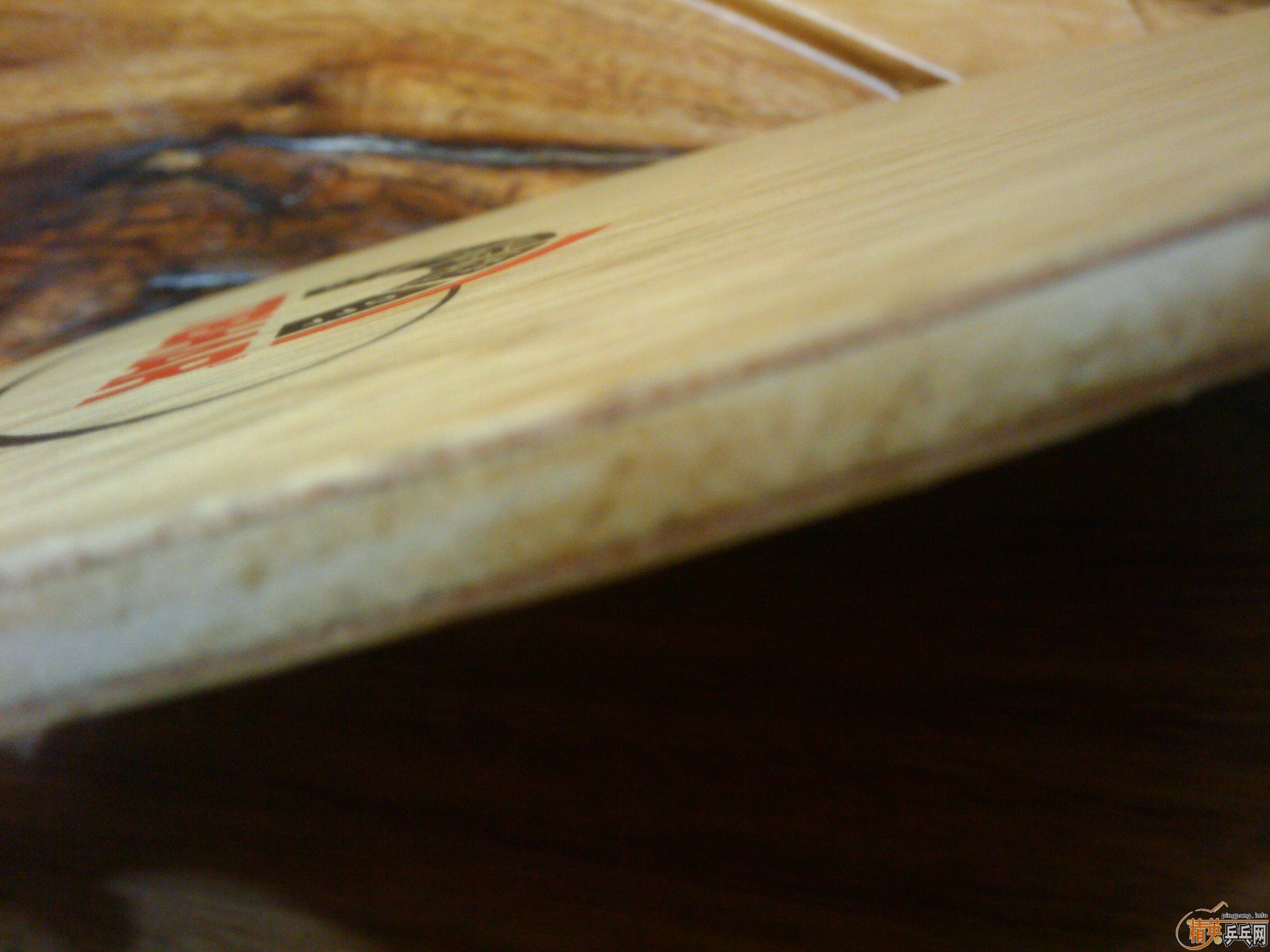 ���������׽�ȫ����ɱ��ֻʣͦ�� �������ˡ�����