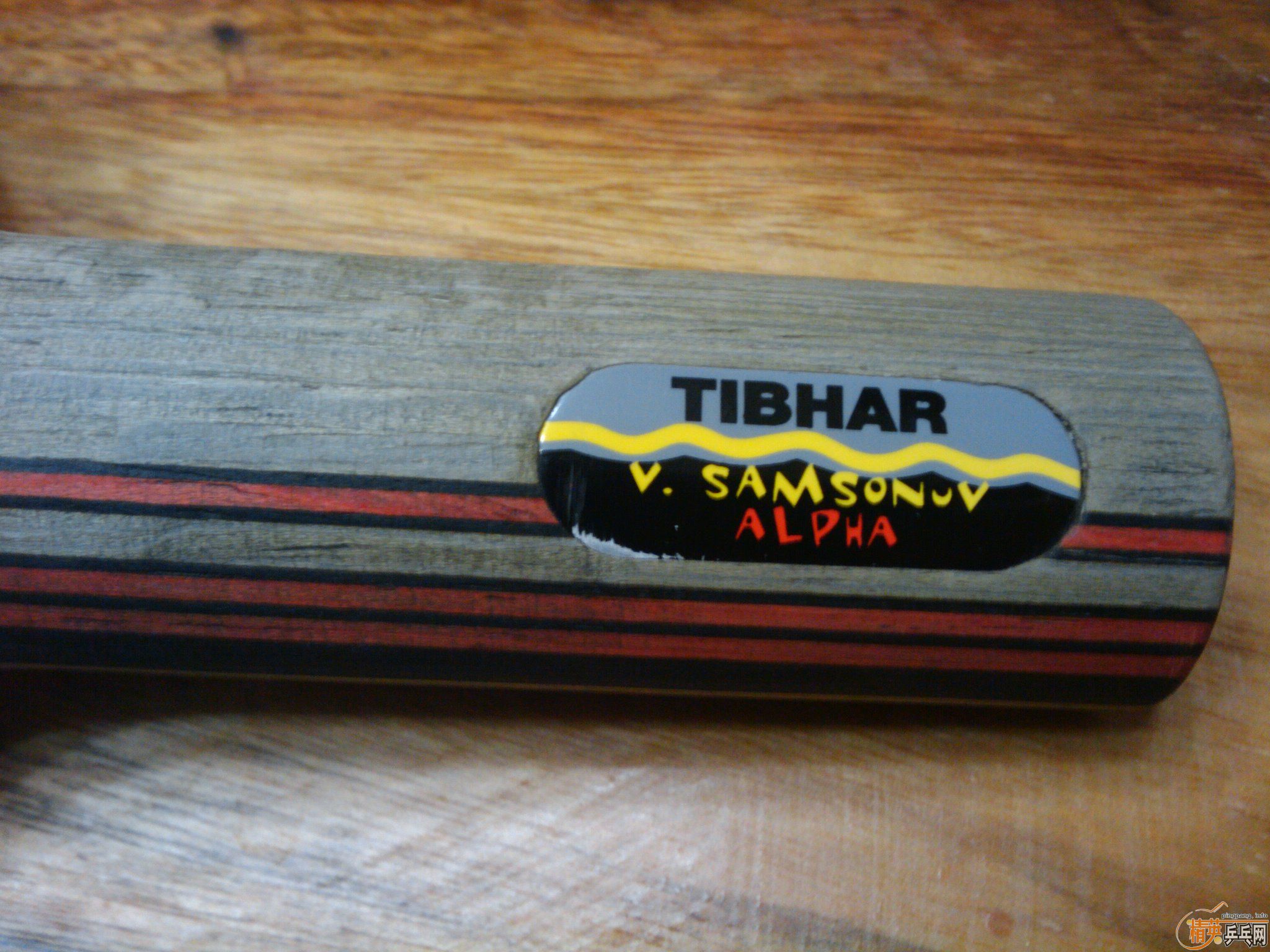 ���������׽�ȫ����ɱ��ֻʣͦ�� �������ˡ�����