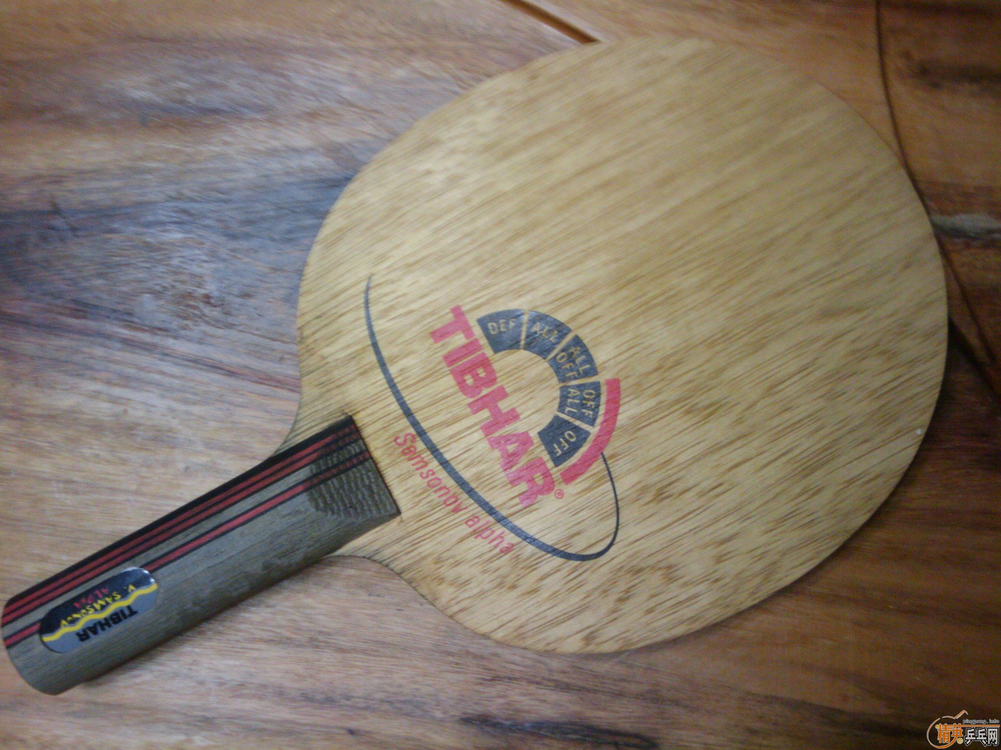 ���������׽�ȫ����ɱ��ֻʣͦ�� �������ˡ�����