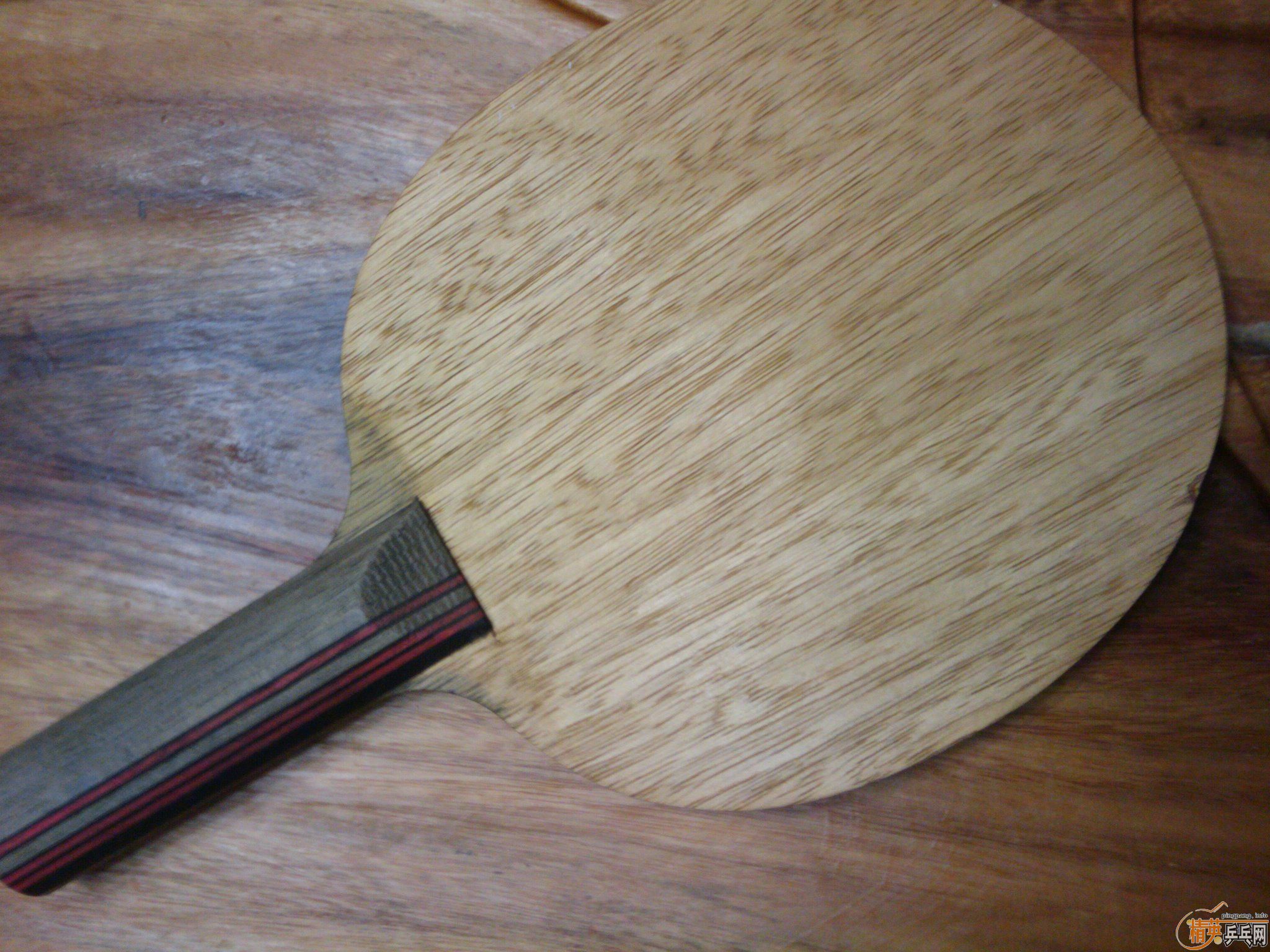 ���������׽�ȫ����ɱ��ֻʣͦ�� �������ˡ�����