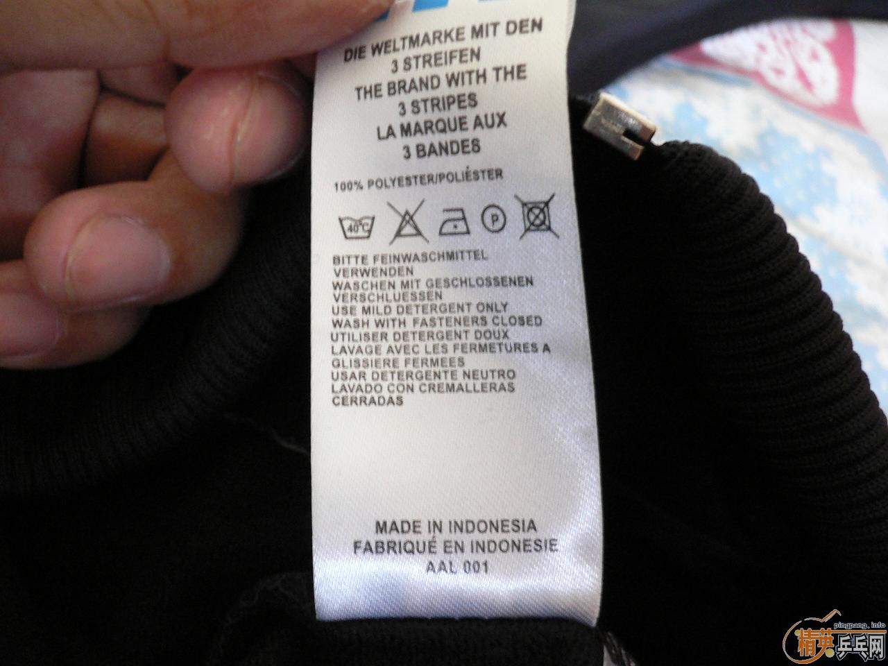 ���ϴ�˹ ��Ҷ�� �����˶���