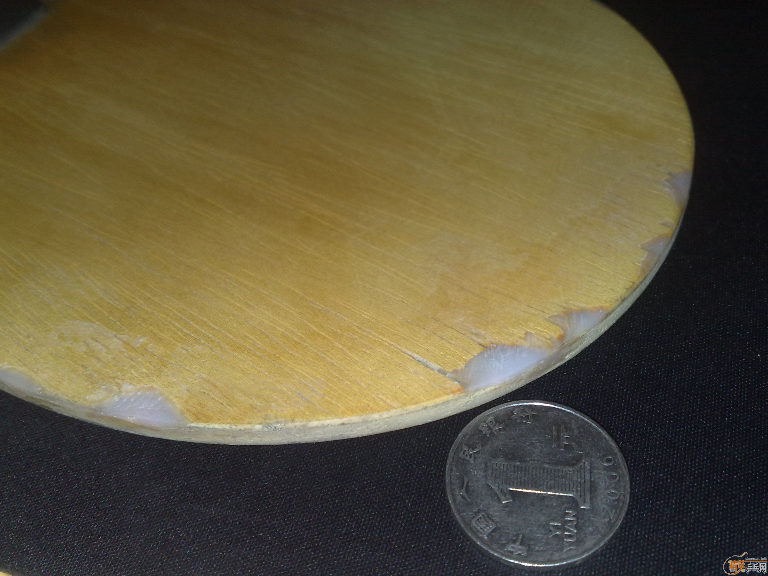 JOOLA K5 ����Ȥ�������������Գ�Ҳ���Ի�