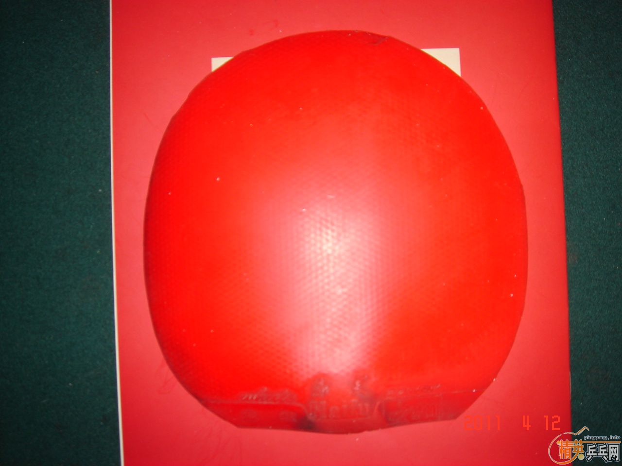 ����άT541�װ�һ�飬�׽�6�š�