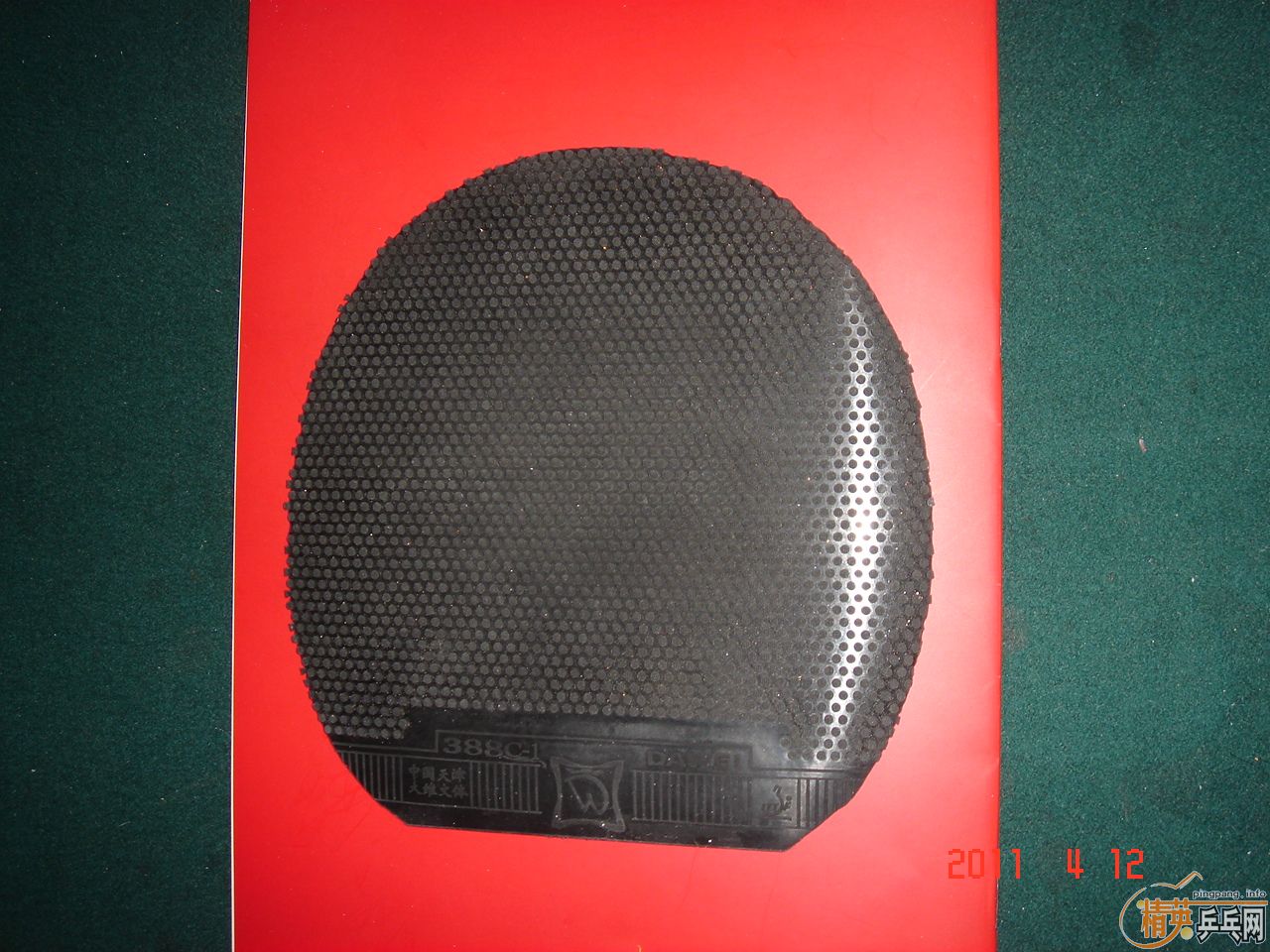 ����άT541�װ�һ�飬�׽�6�š�