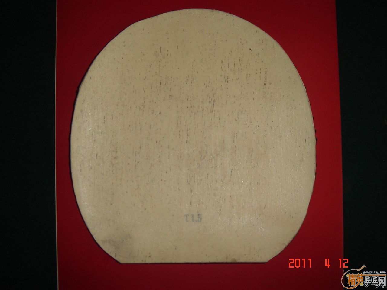 ����άT541�װ�һ�飬�׽�6�š�