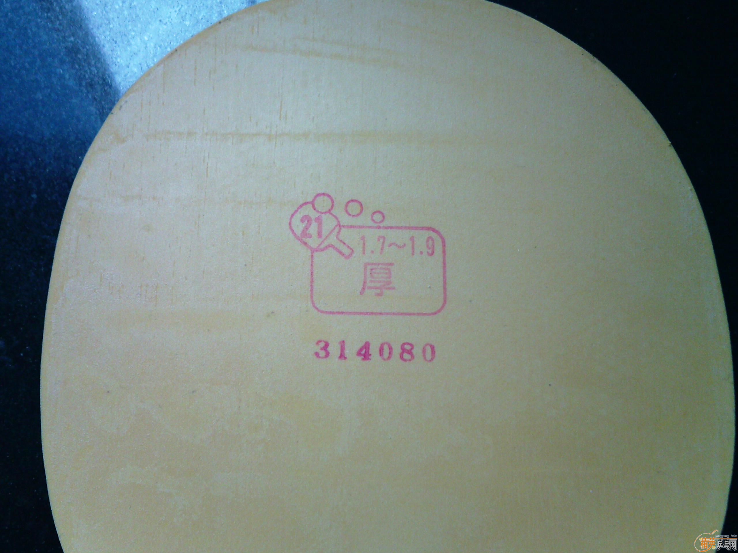 ��TSP����������