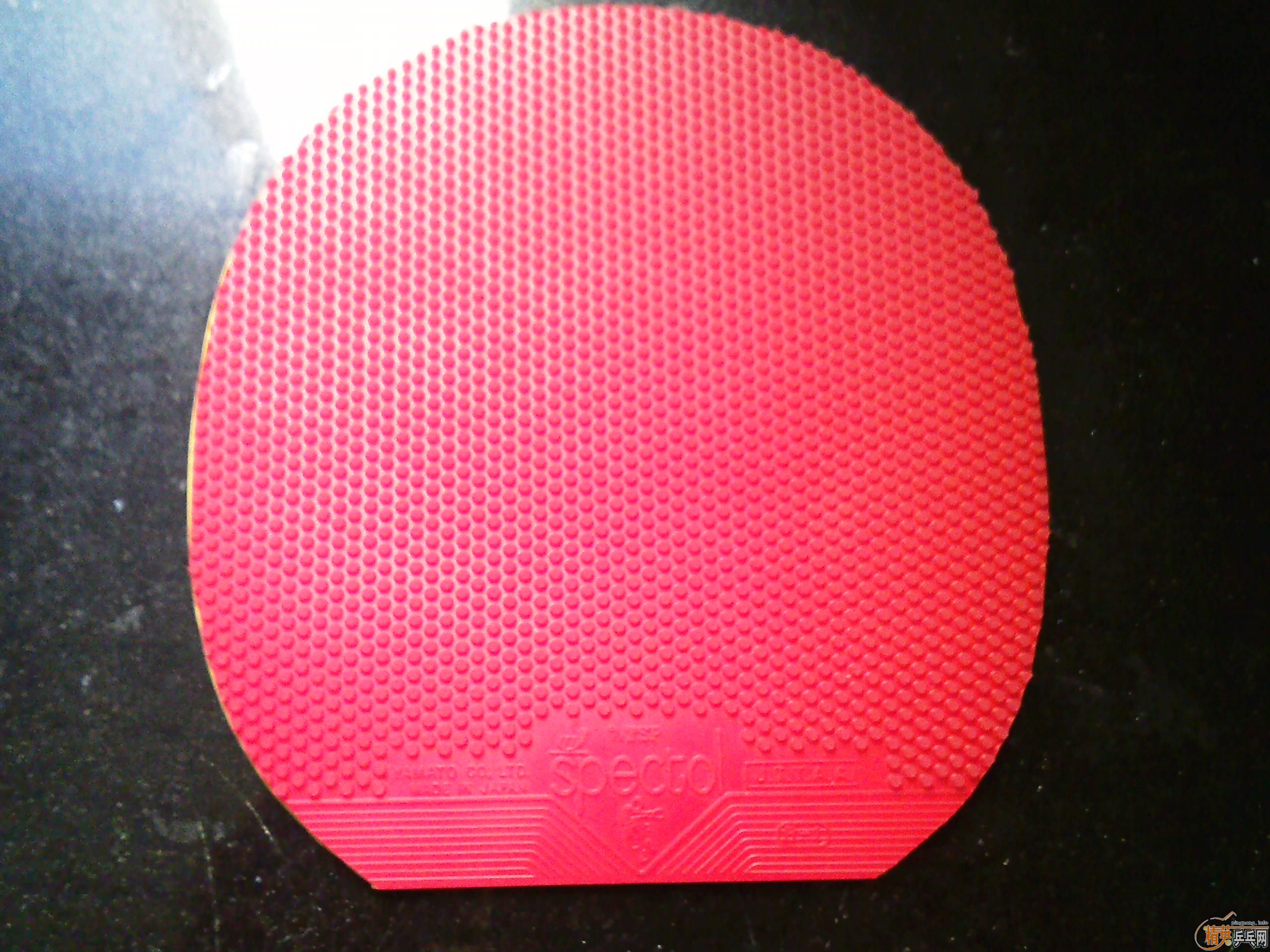 ��TSP����������